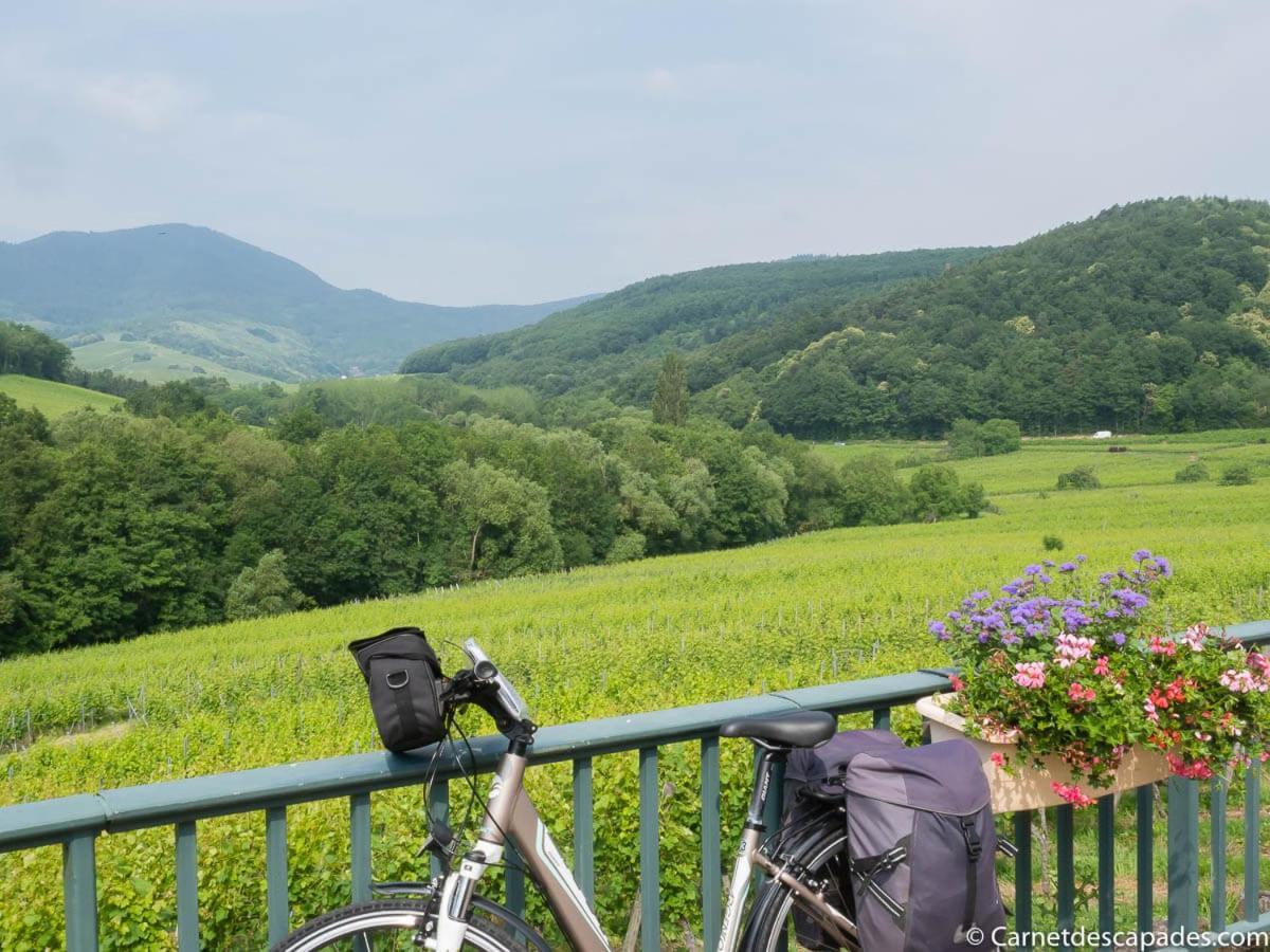Villa Coeur D'Alsace Colmar Vignobles Ouest Avec Terrasses Wintzenheim Exterior foto