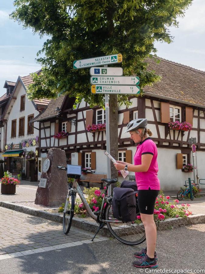 Villa Coeur D'Alsace Colmar Vignobles Ouest Avec Terrasses Wintzenheim Exterior foto