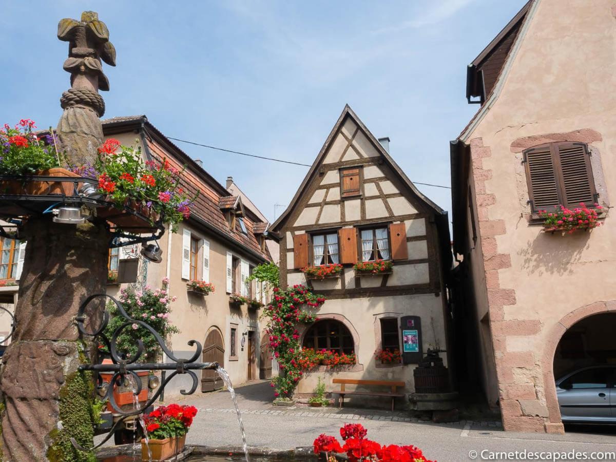 Villa Coeur D'Alsace Colmar Vignobles Ouest Avec Terrasses Wintzenheim Exterior foto