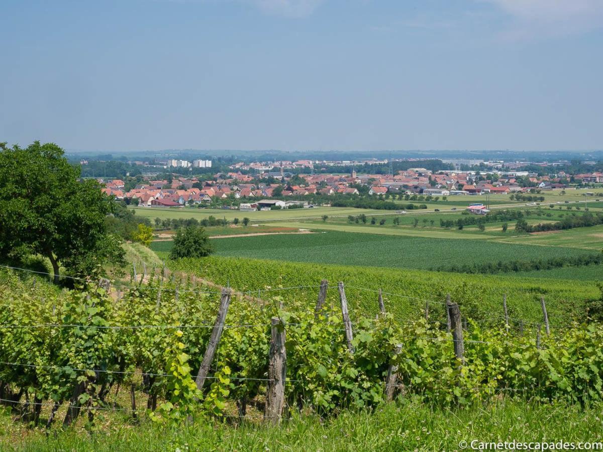 Villa Coeur D'Alsace Colmar Vignobles Ouest Avec Terrasses Wintzenheim Exterior foto