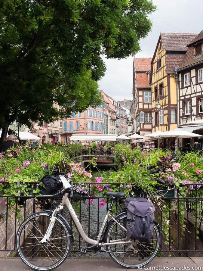 Villa Coeur D'Alsace Colmar Vignobles Ouest Avec Terrasses Wintzenheim Exterior foto