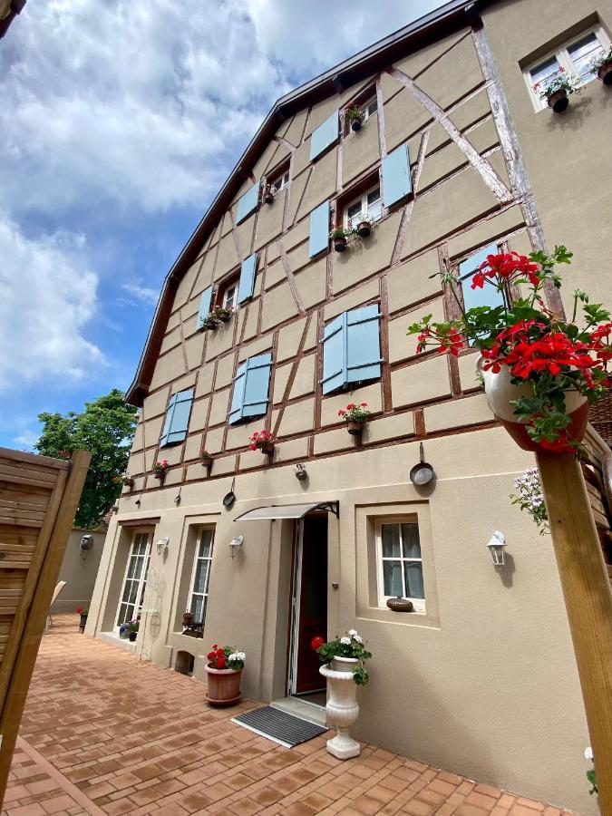 Villa Coeur D'Alsace Colmar Vignobles Ouest Avec Terrasses Wintzenheim Exterior foto
