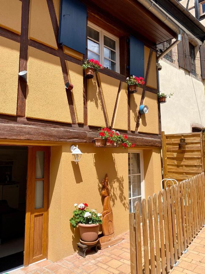 Villa Coeur D'Alsace Colmar Vignobles Ouest Avec Terrasses Wintzenheim Exterior foto