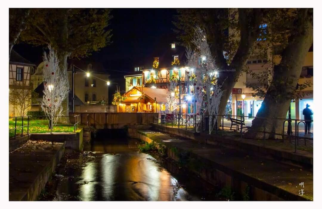 Villa Coeur D'Alsace Colmar Vignobles Ouest Avec Terrasses Wintzenheim Exterior foto