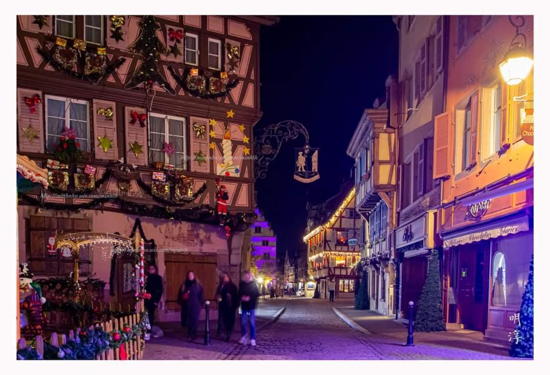 Villa Coeur D'Alsace Colmar Vignobles Ouest Avec Terrasses Wintzenheim Exterior foto