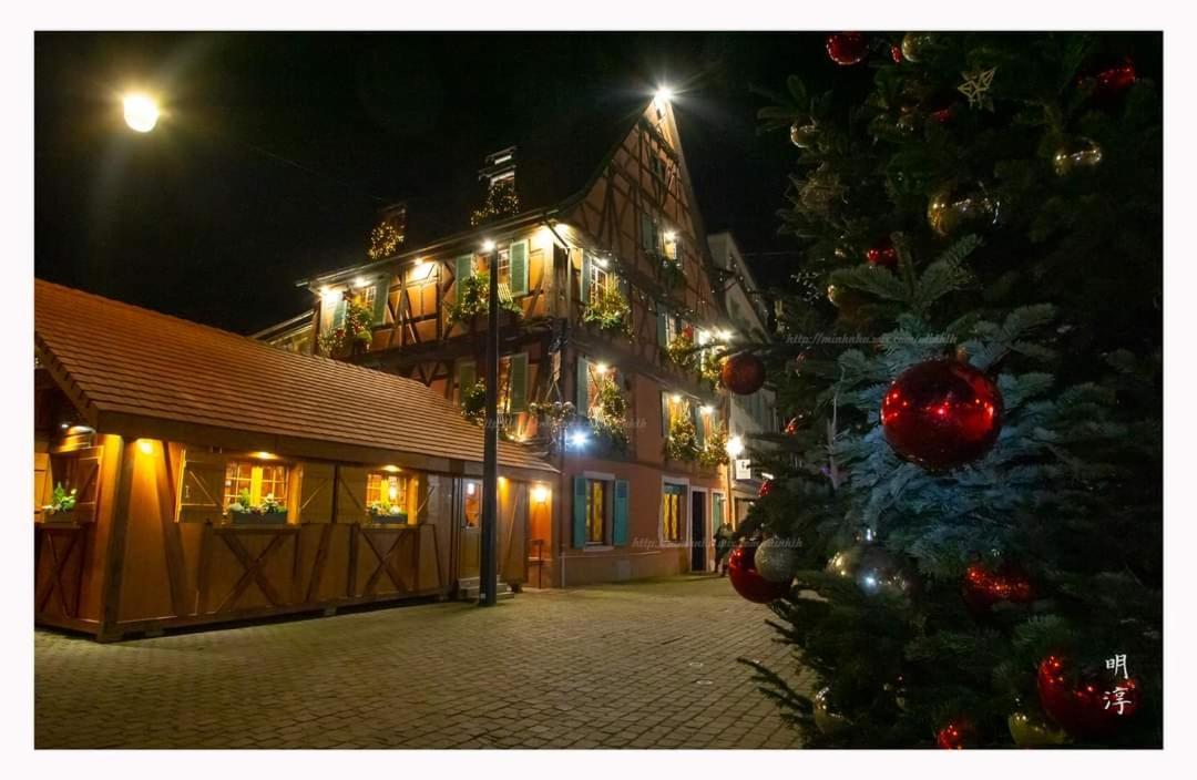 Villa Coeur D'Alsace Colmar Vignobles Ouest Avec Terrasses Wintzenheim Exterior foto
