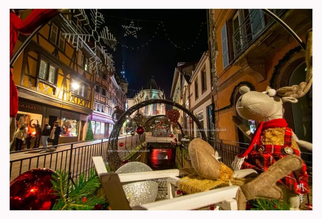 Villa Coeur D'Alsace Colmar Vignobles Ouest Avec Terrasses Wintzenheim Exterior foto